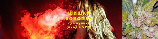 индика Липки